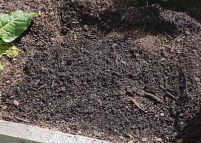 Patch of bare soil