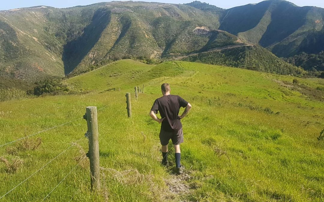 A man out walking on a farm