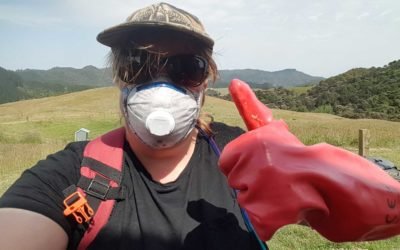 To spray, or not to spray