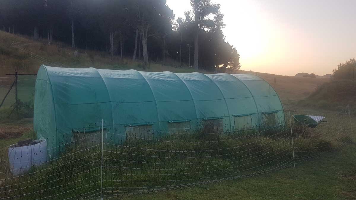 Greenhouse at Orotere