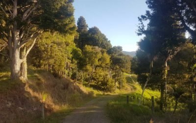 Walking to the mailbox