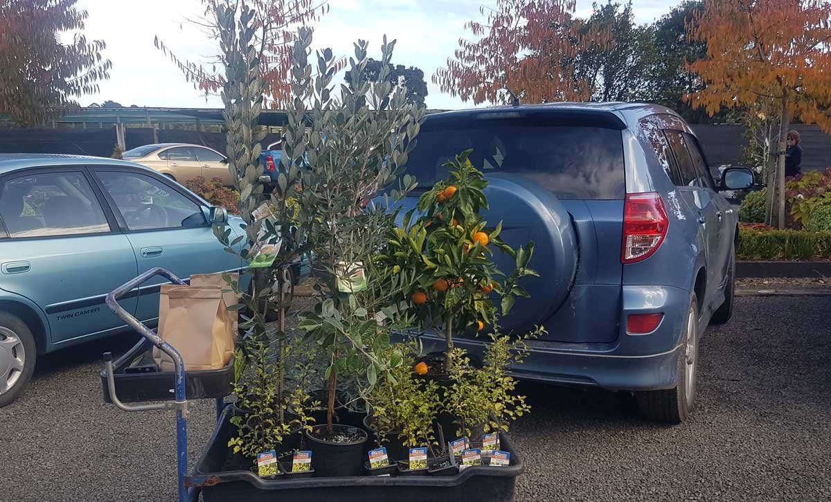 Purchases made at the garden center on the first day of Level 2