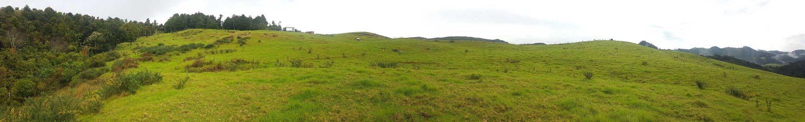 Panorama of our 'main paddock'