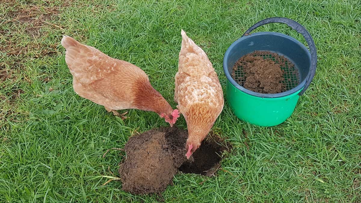 Taking a soil sample