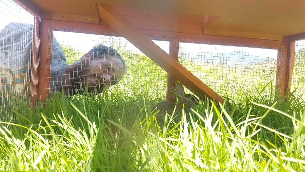 Richard hanging out with Bunbun