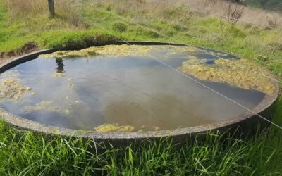 Cleaning troughs