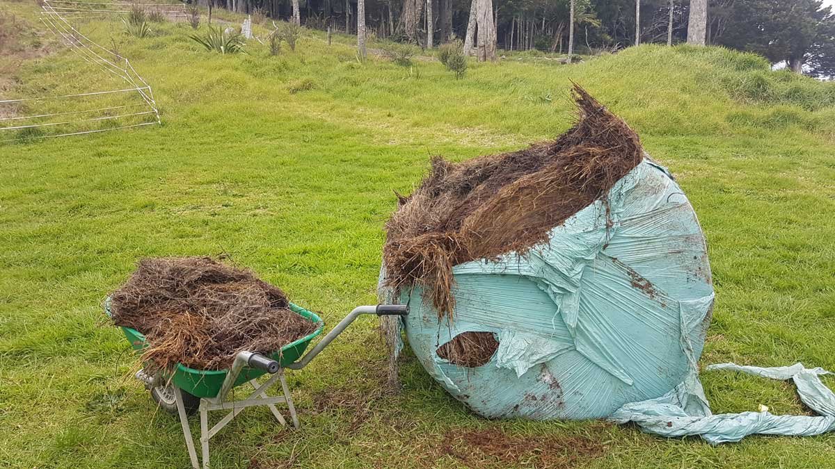 3 wheelbarrows used