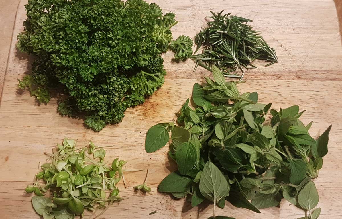 clockwise from top left: parsley, rosemary, oregano, and basil