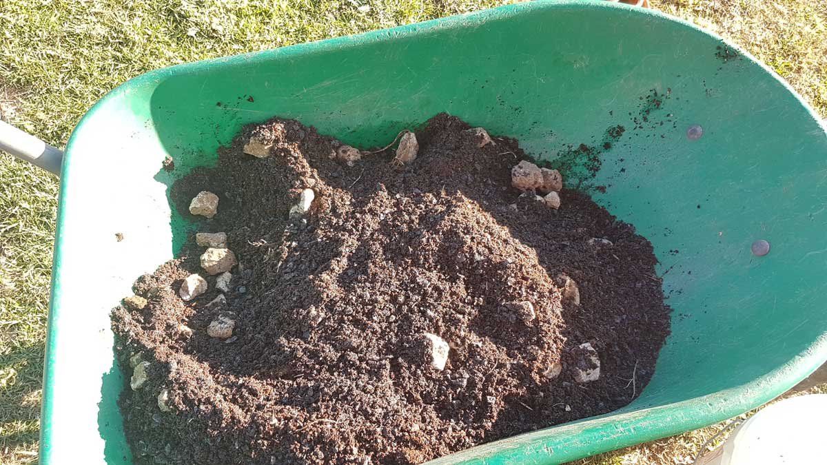 Soil mix made up for xeronema callistemon