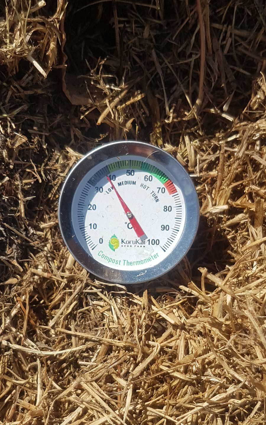 Second thermometer reading on 27 Feb - 38ºC