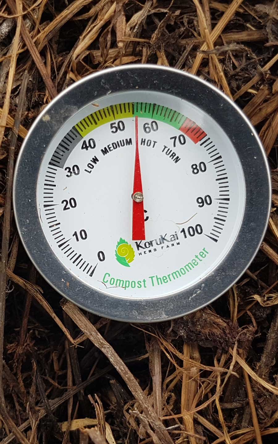 Fourth thermometer reading on 1 March - 56ºC