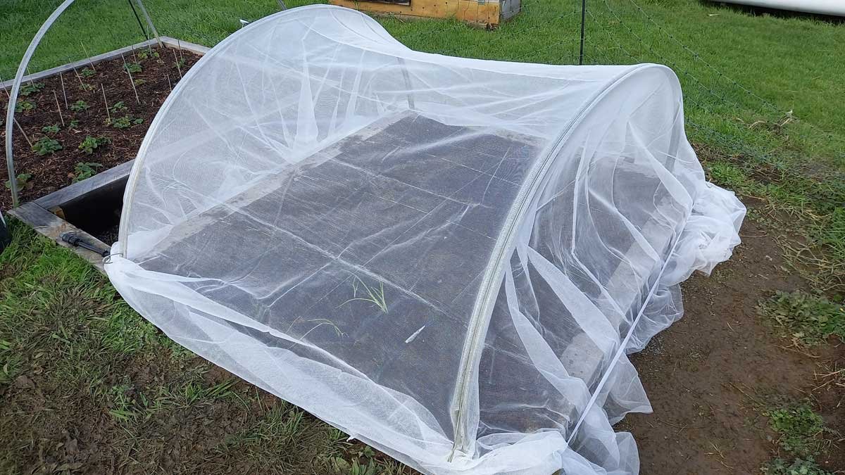 Complete square foot garden bed ready for planting