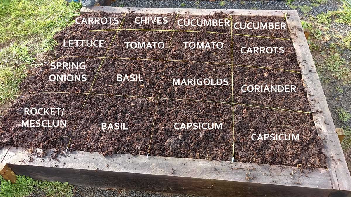 Labelled final layout on the actual garden bed