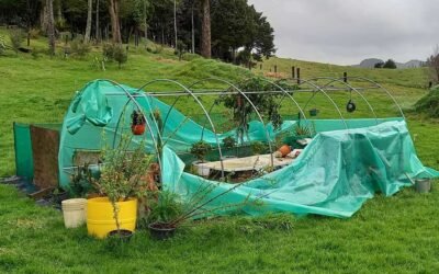 What do we do with a broken shadehouse?