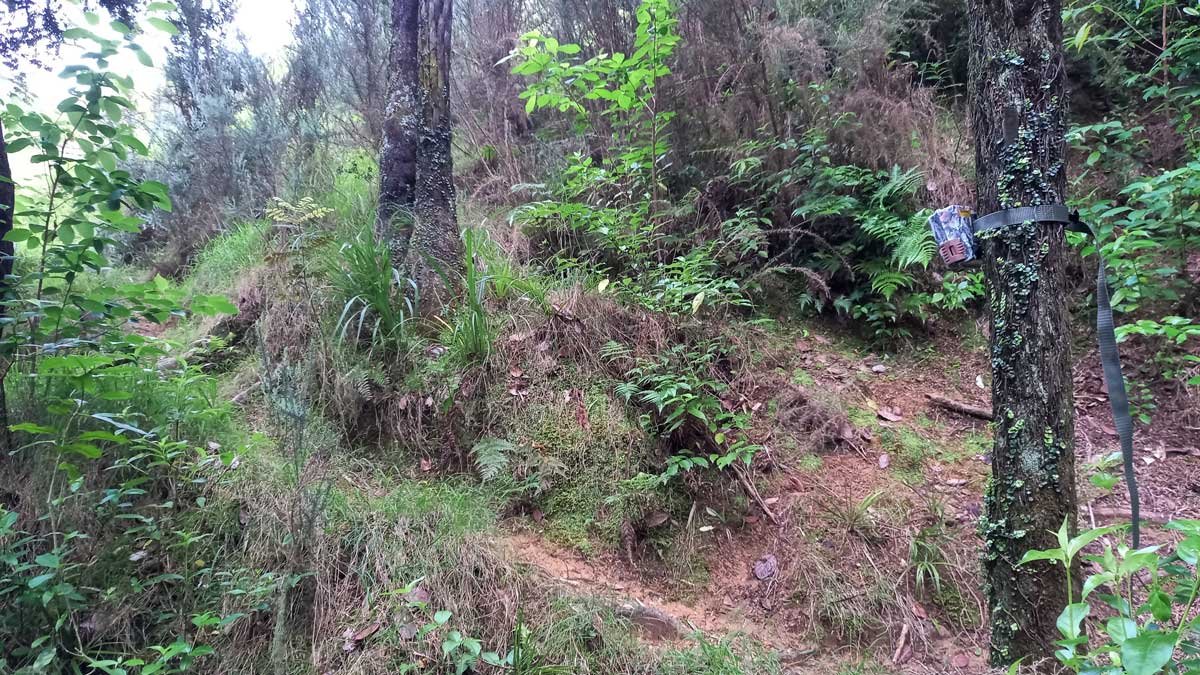 Trail cam set up on track