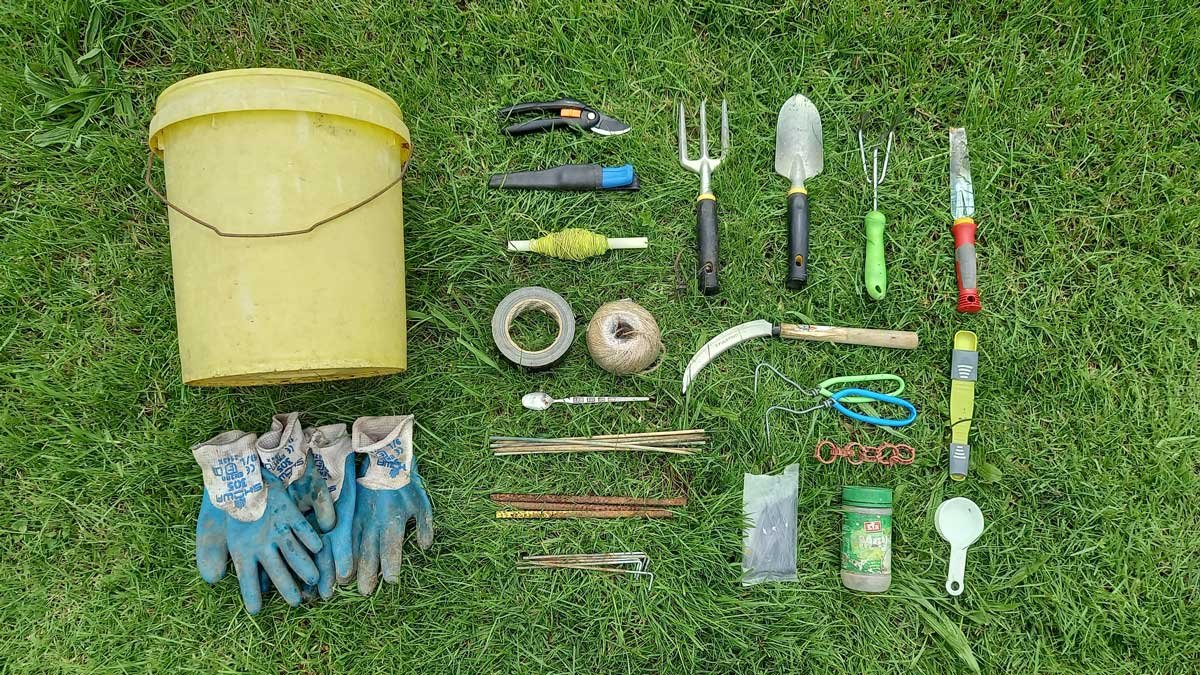 Inside the gardening bucket Kat's Garden