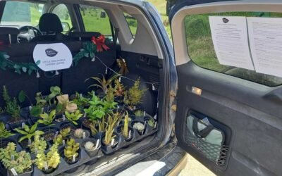 The Little Free Mobile Garden Centre