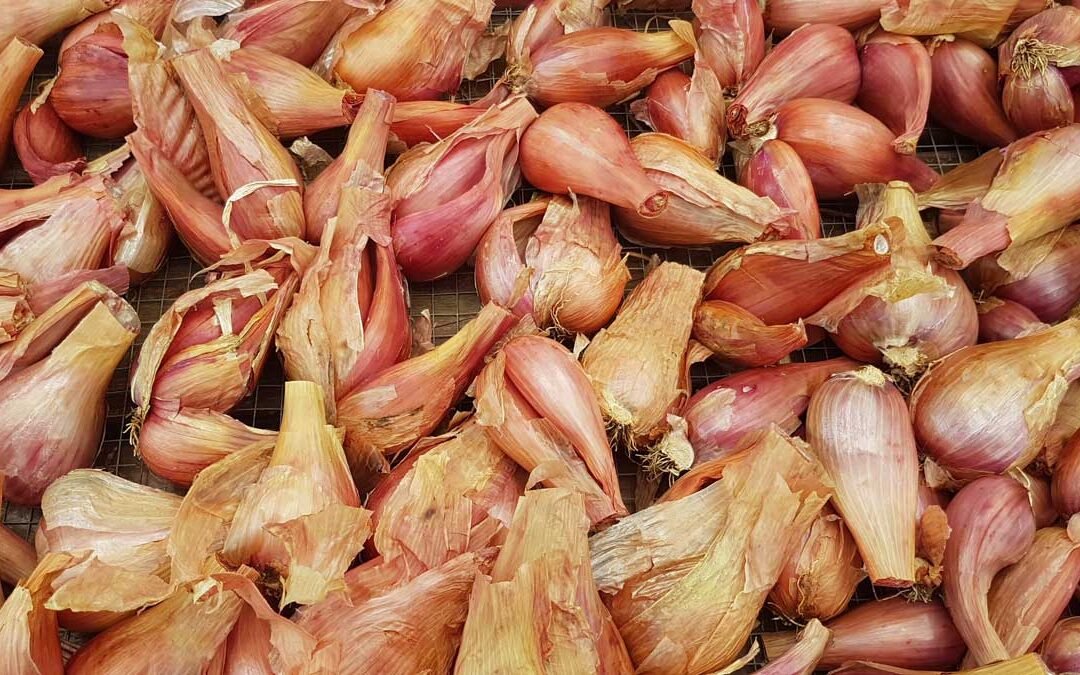 What's The Best Substitute To Use For Shallots?