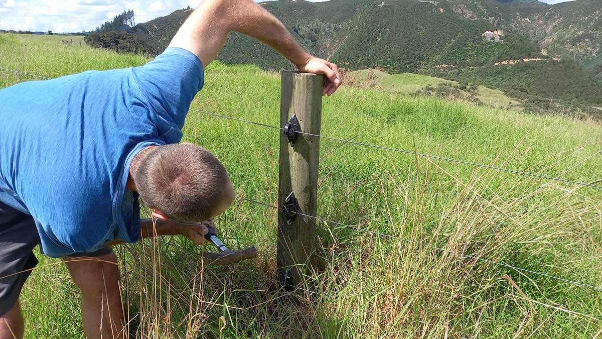 Richard fixing insulators