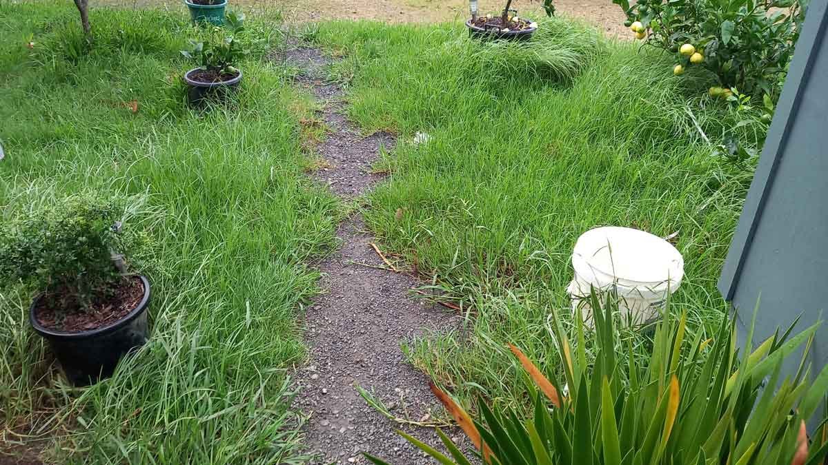 The path we are quickly losing as the rain takes over