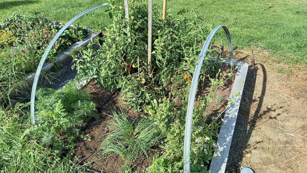 Square Foot Garden in April 2022