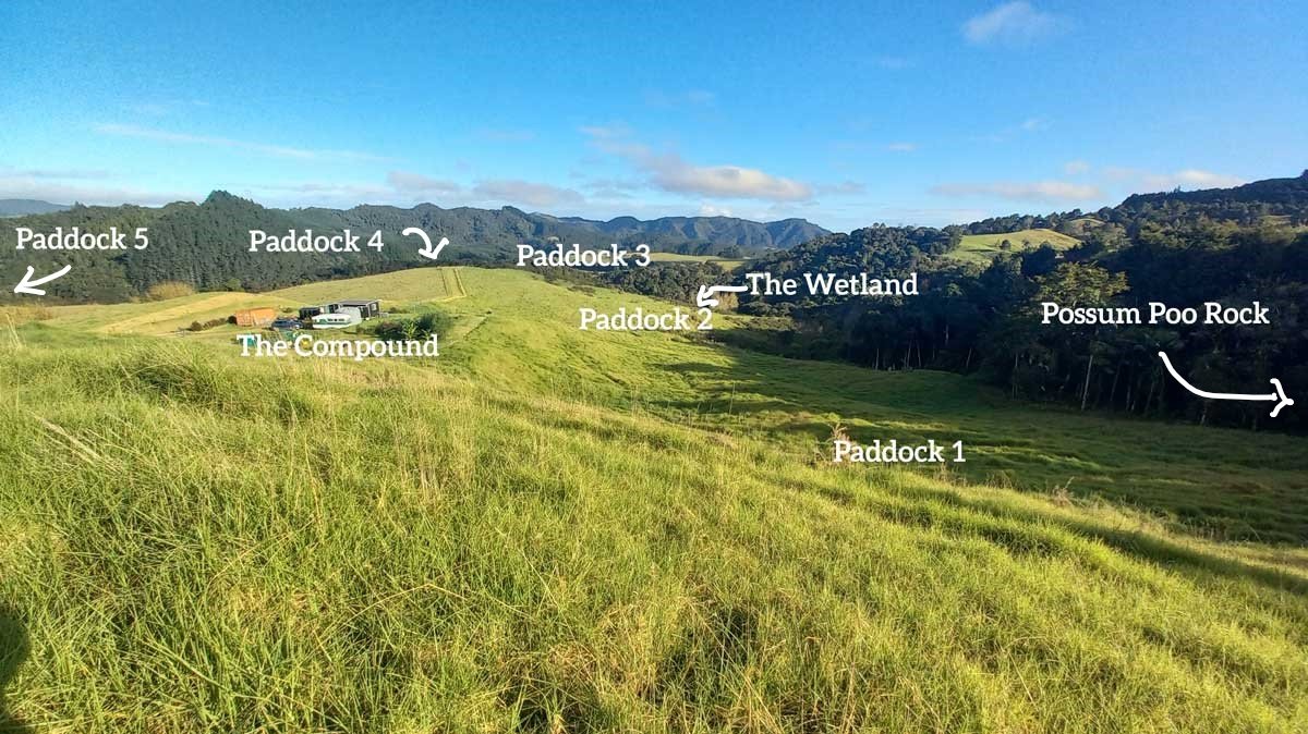 Labelled photo of paddock locations, including the wetland, compound, and possum poo rock