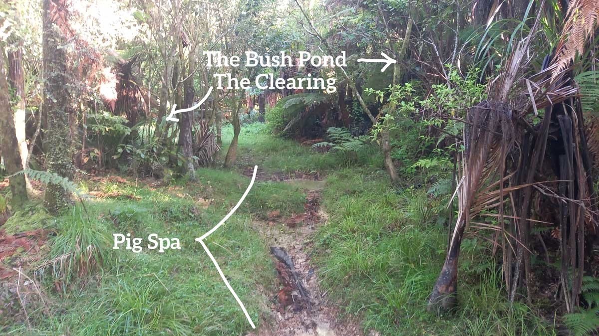 Pig spa in the bush block with directions to the clearing and the bush pond
