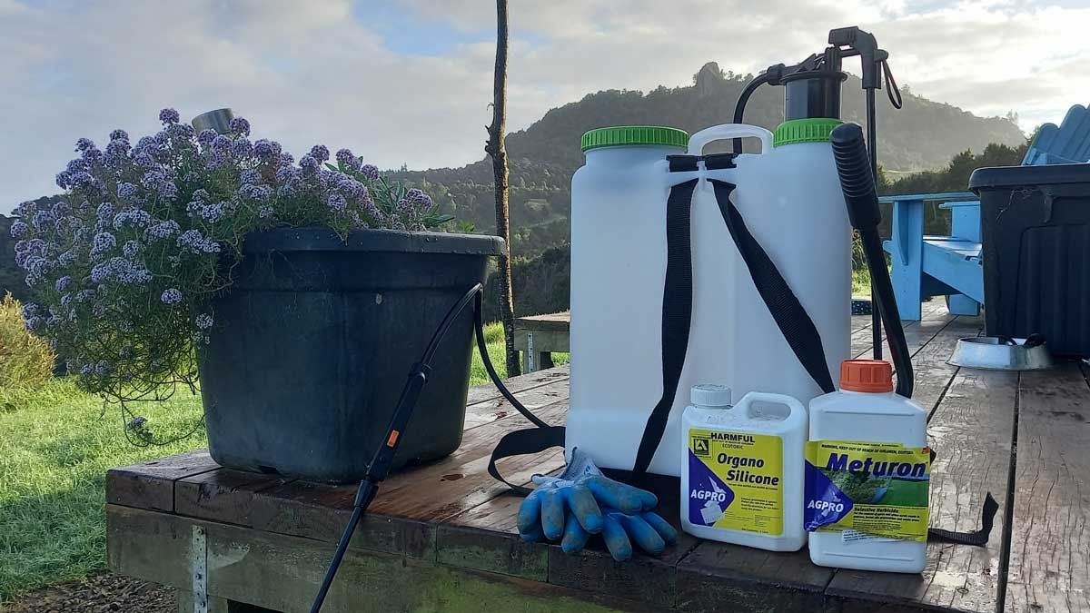 Sprayer, sprays, and gloves ready for spraying gorse