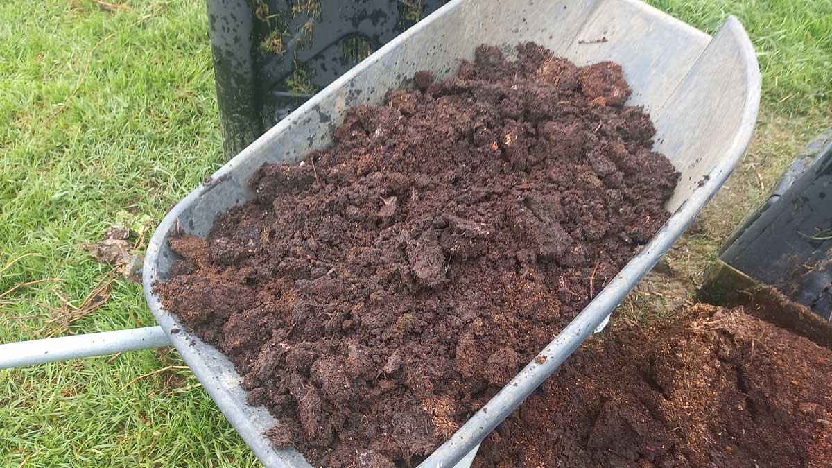 A wheelbarrow of fully-composted 'humanure'