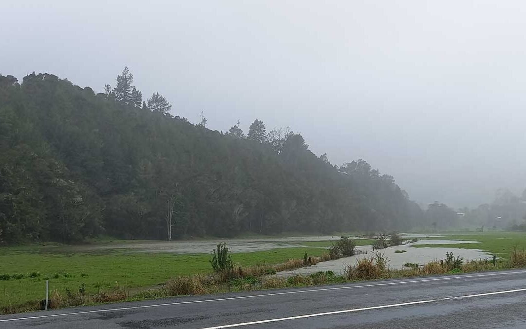Paddocks opposite the Kaeo Farm and Fuel still flooded 2 days after receiving a month's worth of rain in 24 hours