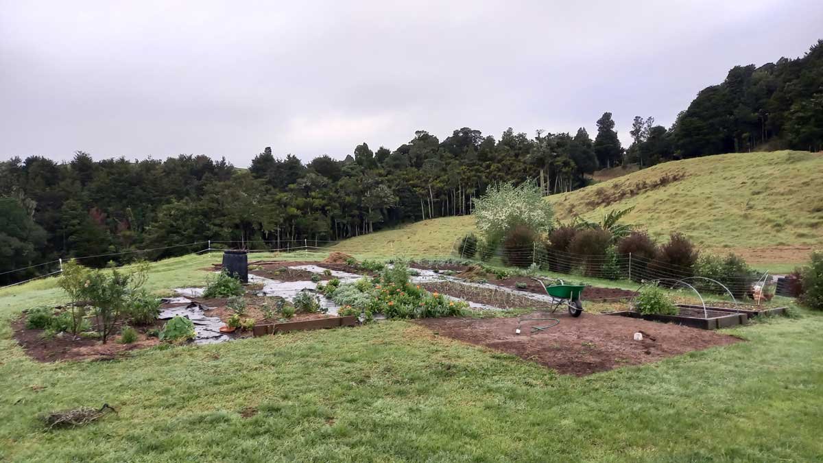 A view of the garden in August 2022