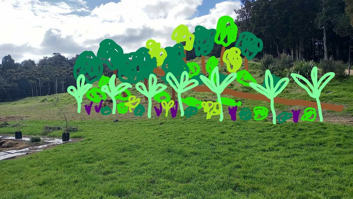 A vision of what I want to create on the hillside