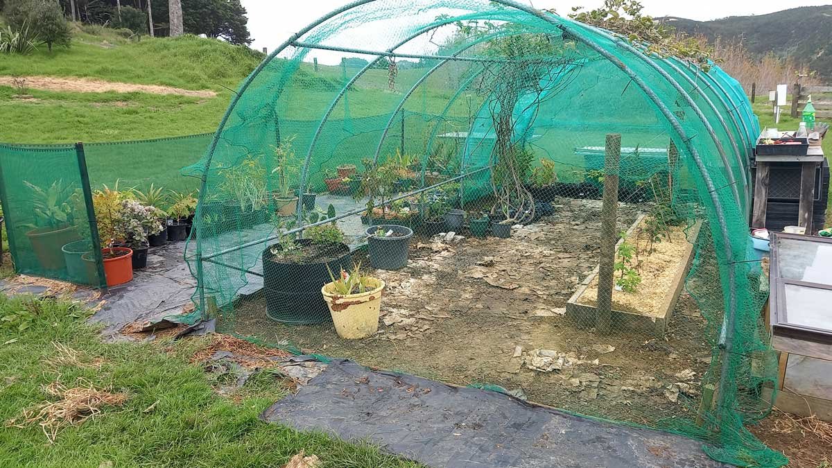 A complete and tidy berryhouse with the door closed