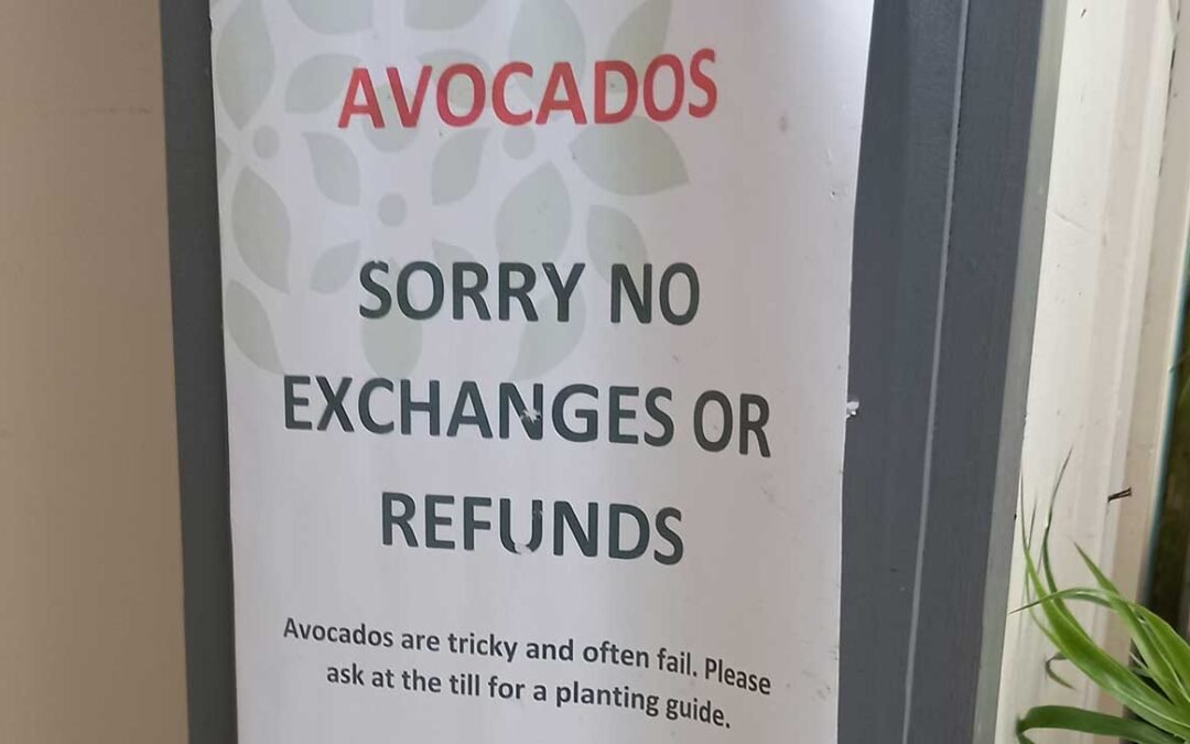 Sign at Redwoods Garden Center in Kerikeri. Reads "Avocados / sorry no exchanges or refunds / Avocados are tricky and often fail. Please ask at the till for a planting guide."