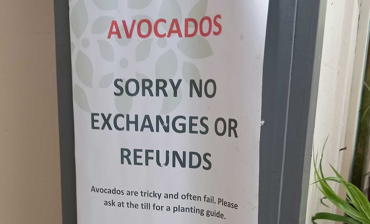 Sign at Redwoods Garden Center in Kerikeri. Reads "Avocados / sorry no exchanges or refunds / Avocados are tricky and often fail. Please ask at the till for a planting guide."