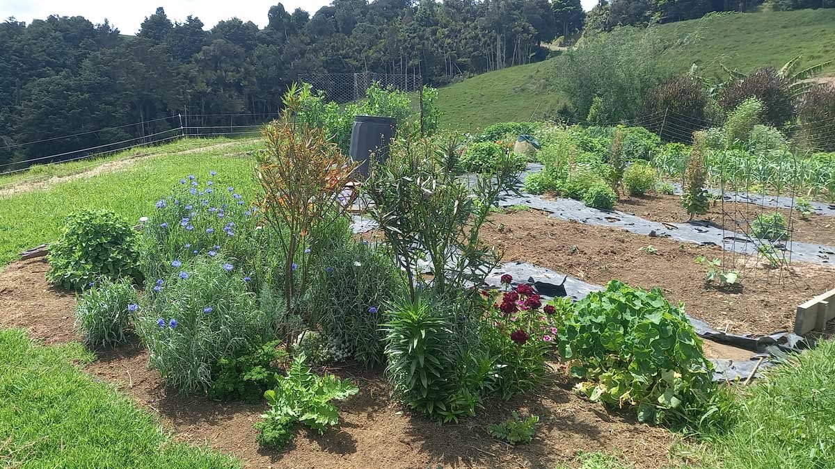 My happy place - the garden