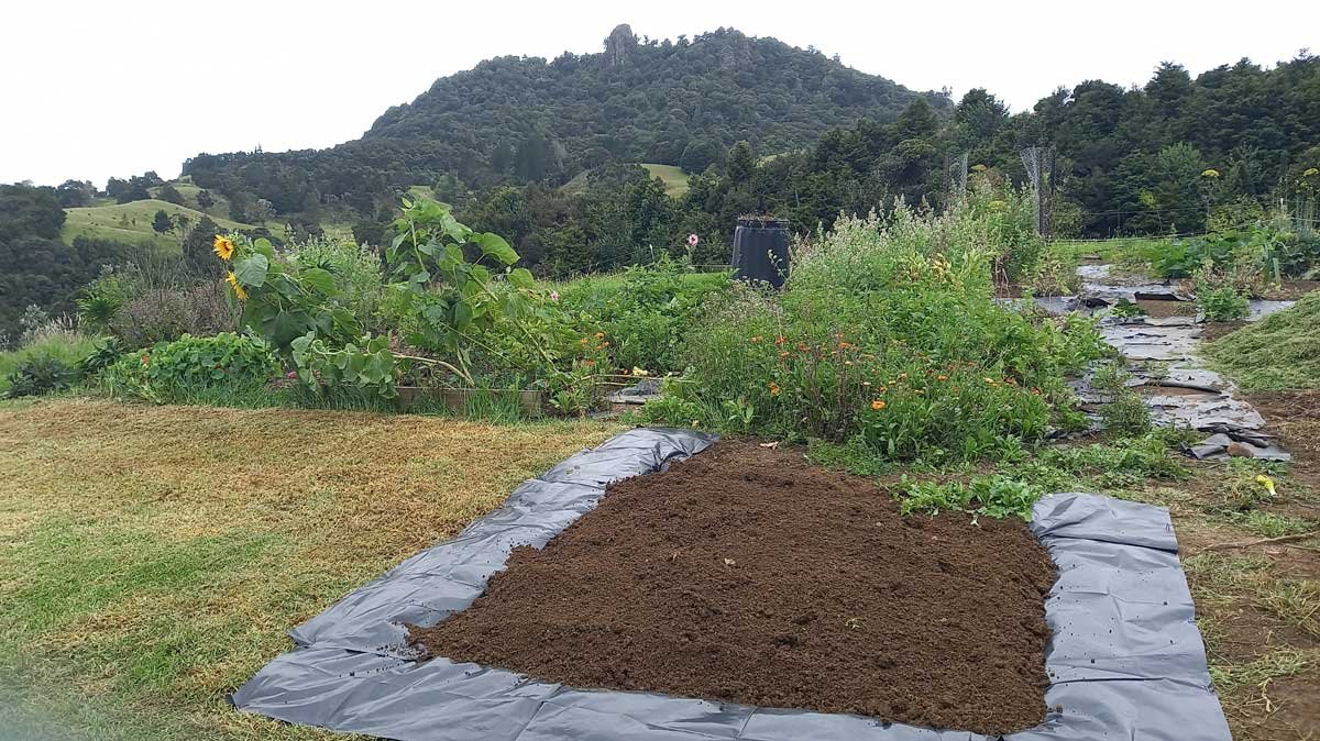 A new garden bed at the front of the main garden.