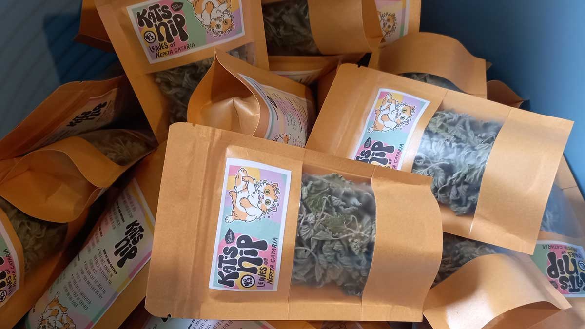 Packets of Kat's Nip in a bin waiting to be sealed. Packets of Kat's Nip in a bin waiting to be sealed.