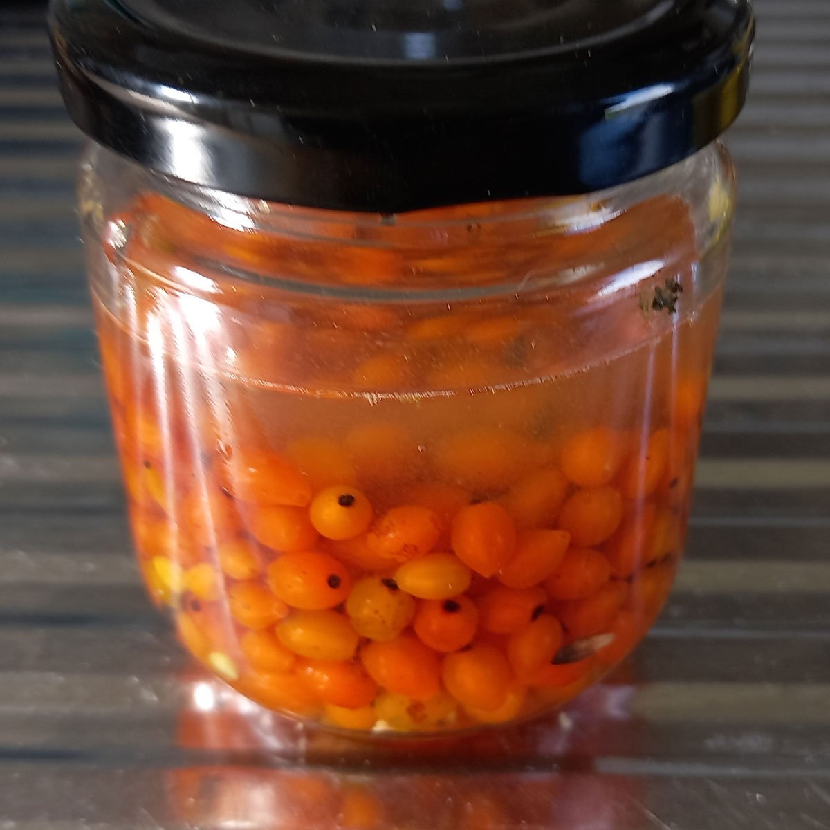 Coprosma seed fermenting in a jar