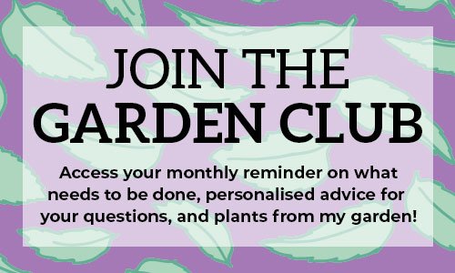 Join the garden club. Access your monthly reminder on what needs to be done, personalised advice for your questions, and plants from my garden!