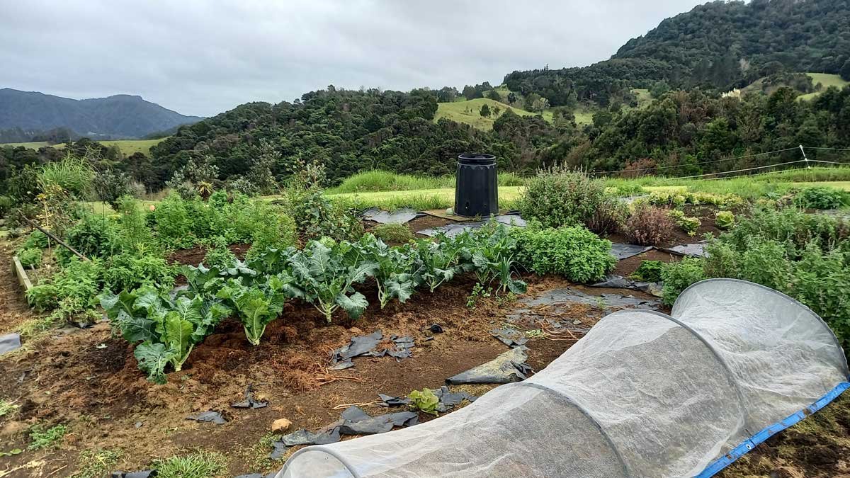 The garden in April 2023