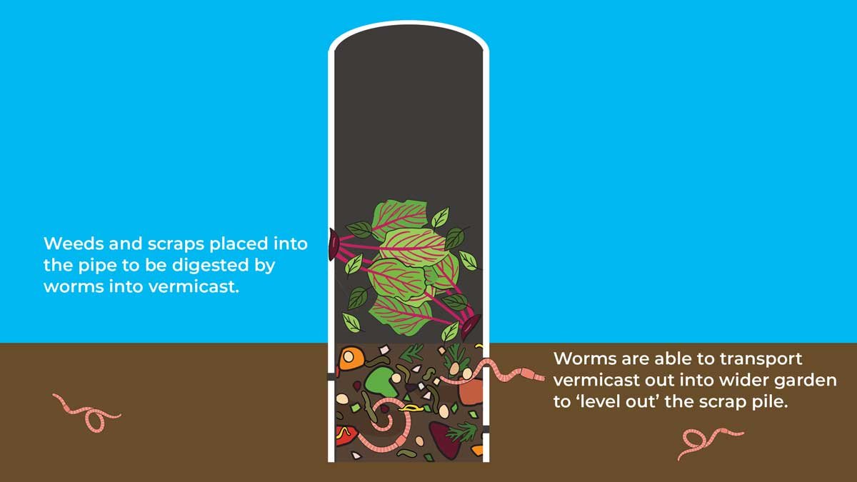 Diagram showing how my worm farm will work