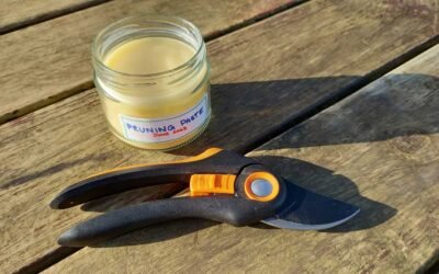 How to make your own pruning paste