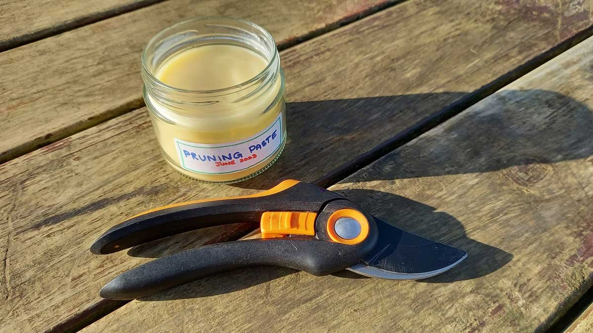 A jar of pruning paste and a pair of secateurs.