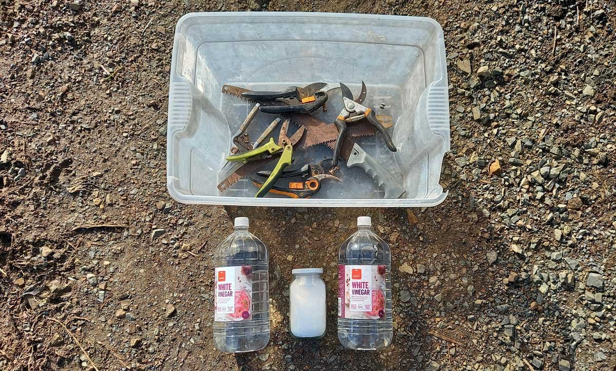 Tools in a bin with 4 litres of white vinegar and salt.