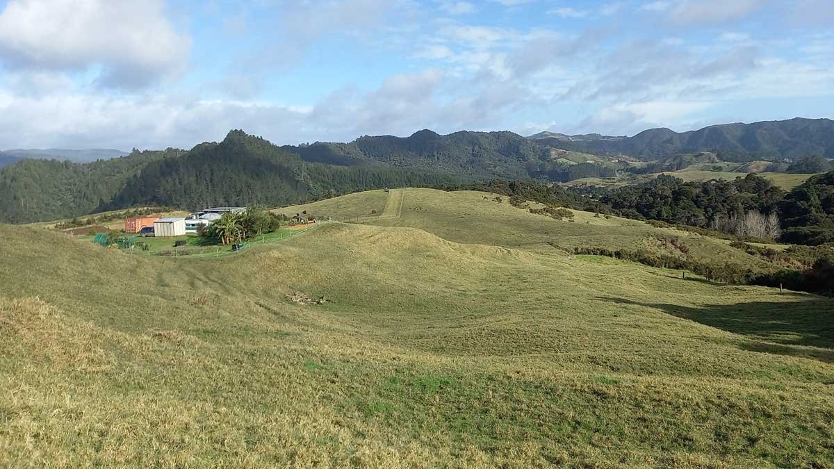 The view out to the back paddocks from Paddock 1