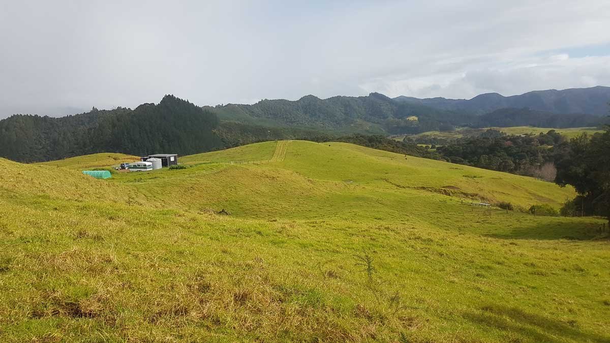 The view out to the back paddocks from Paddock 1