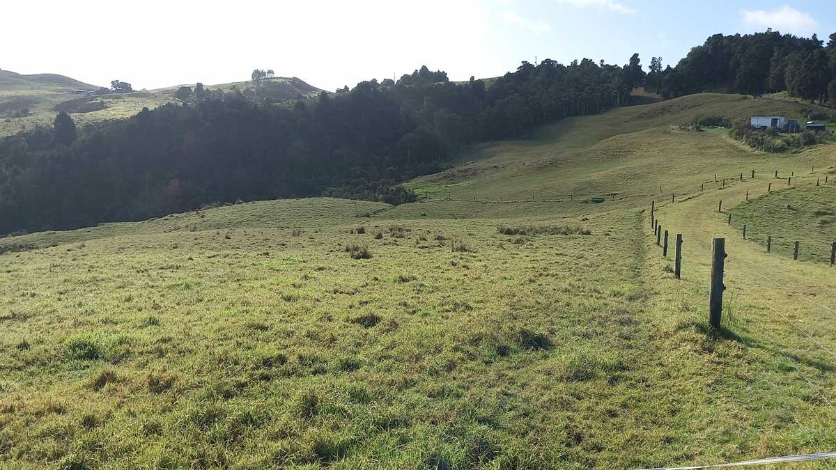Looking back towards the compound in July 2023
