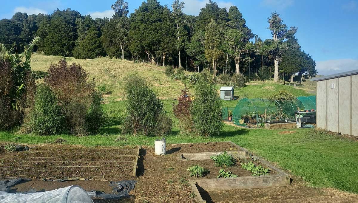 Garden and greenhouse, July 2023