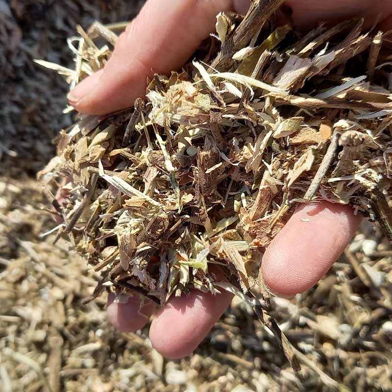 Mulch from the mulcher